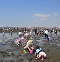 clam digging