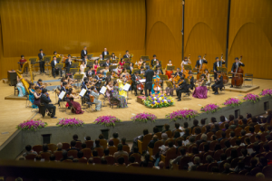 A view of the orchestra