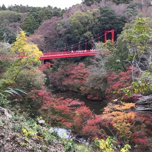 Izumi Nature Park1