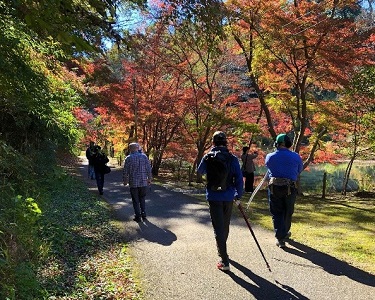 Izumi Nature Park2