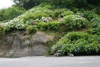 Mano-ji Temple