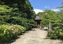 Nichi’un -ji Temple