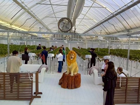 いちご狩りの様子の画像