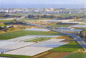 東総台地地区（広域農道）