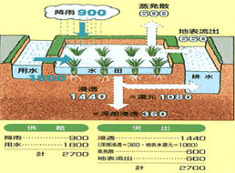 農水省ホームページより引用