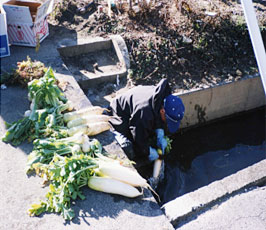 生活用水機能：野菜洗浄