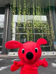 緑のカーテンを見に来たチーバくん