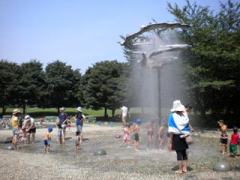 青葉の森公園水の広場