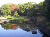 行田公園日本庭園