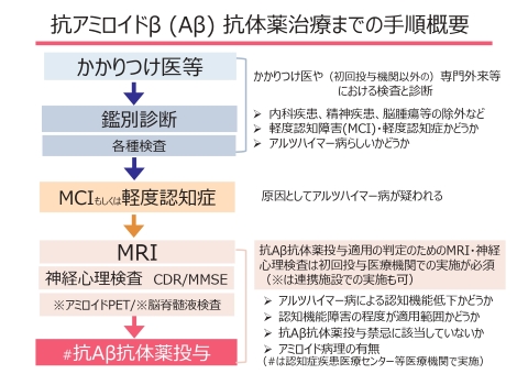 抗アミロイドβ抗体薬治療までの手順概要