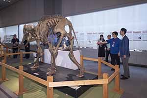 県立中央博物館特別展「よみがえるチバニアン期の古生物」オープニングセレモニーの様子