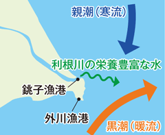 銚子漁港の位置図