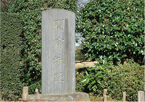 関宿城跡の画像
