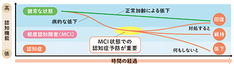 時間の経過と認知機能の低下を示すグラフの画像