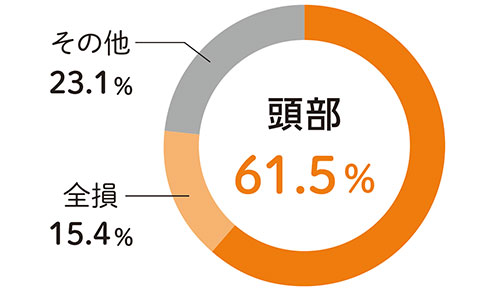 自転車乗車中の死者損傷部位グラフ