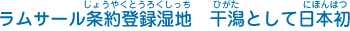 ラムサール条約（じょうやく）登録湿地（とうろくしっち）　干潟（ひがた）として日本初（にほんはつ）