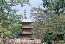 中山法華経寺