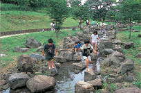 青葉の森公園