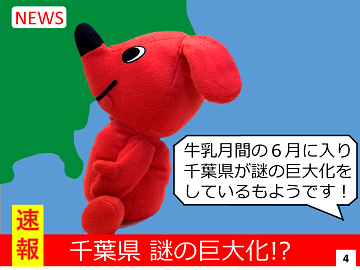 4コマ目。千葉県が謎の巨大化とのニュース速報。千葉県地図より大きいチーバくんの画像に、牛乳月間の６月に入り千葉県が謎の巨大化をしている模様です！のテキスト