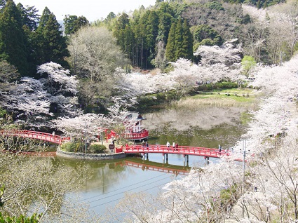 元気半島 ちば お花見スポット特集 千葉県 元気半島 ちば お花見スポット特集 千葉県