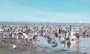 元気半島 ちば 潮干狩りスポット特集 千葉県