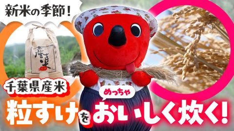 【新米の季節到来！】千葉県特産品「粒すけ」をおいしく炊こう！かまど炊きに挑戦！
