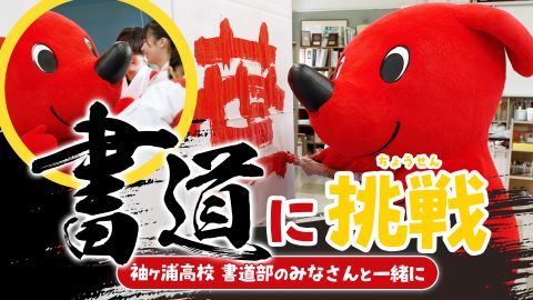 【チャレンジ！チーバくん】袖ヶ浦高校書道部に入部【パフォーマンス書道に挑戦】