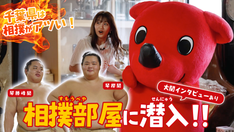 【千葉県は相撲がアツい！】チーバくん、相撲部屋に潜入！【大関インタビューあり】