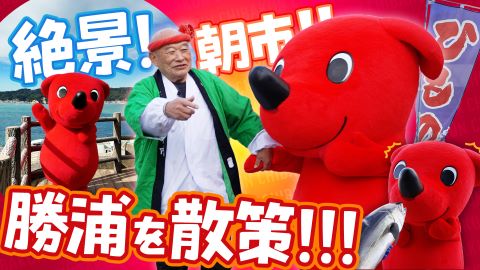 チーバくんのふれあい旅！魅力満載の勝浦をとことん堪能！