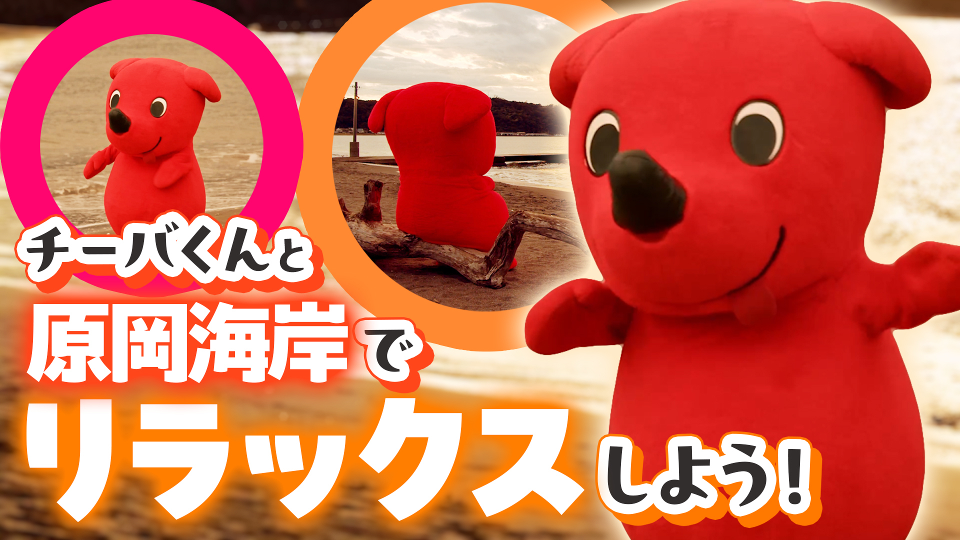 【睡眠前推奨】チーバくん、話題の夕日スポットへ！幻想的な波の音と景色をお届けします【癒し映像】