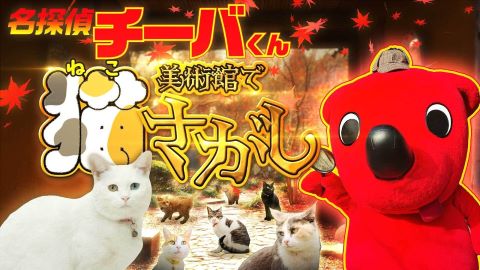 【猫に会える美術館】チーバくん、のんびりアート巡りのはずが？