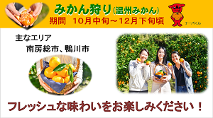 平成29年度 平成29年11月20日 知事定例記者会見