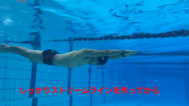 水泳動画2のサムネイル画像