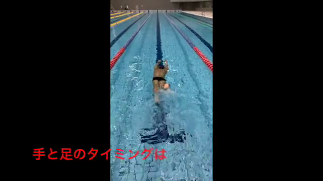 水泳動画5のサムネイル画像