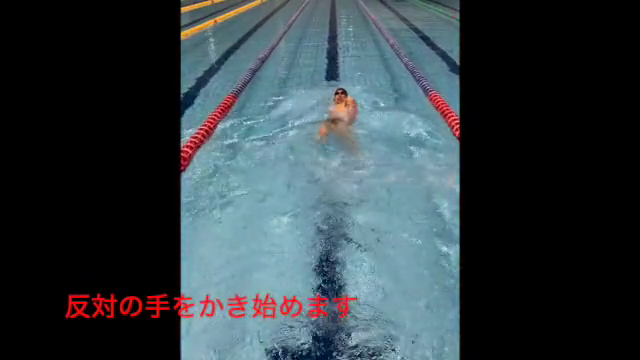 水泳動画15のサムネイル画像