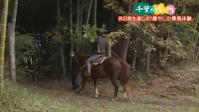 非日常を楽しむ！癒しの乗馬体験（長柄町）