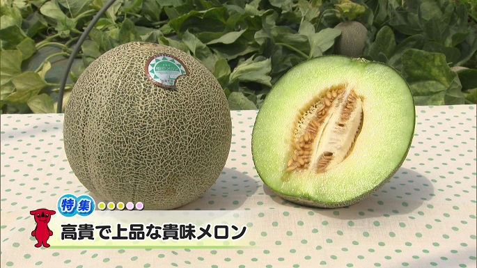 令和6年6月22日放送分（特集）「高貴で上品な貴味メロン」／ウィークリー千葉県