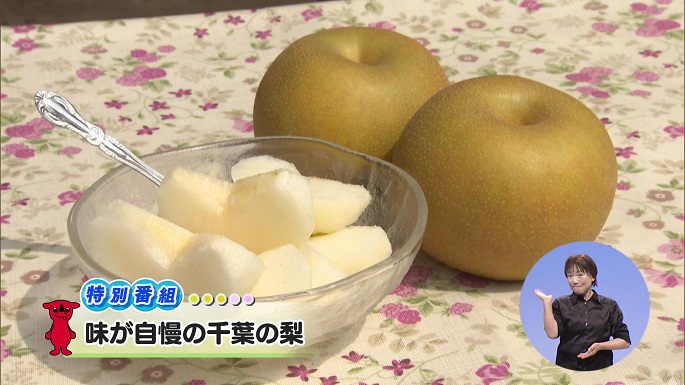 令和6年9月7日放送分【特別番組】「味が自慢の千葉の梨」／ウィークリー千葉県