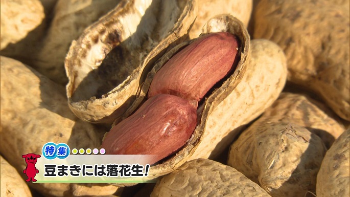 令和7年1月25日放送分(特集)「豆まきには落花生！」／ウィークリー千葉県