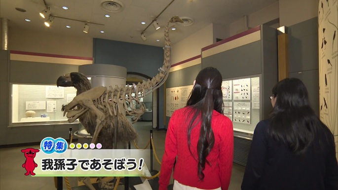 令和8年1月24日放送分(特集)「我孫子であそぼう！」／ウィークリー千葉県