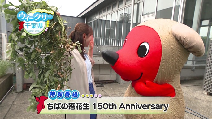 令和8年9月19日放送分【特別番組】「ちばの落花生 150th Anniversary」／ウィークリー千葉県