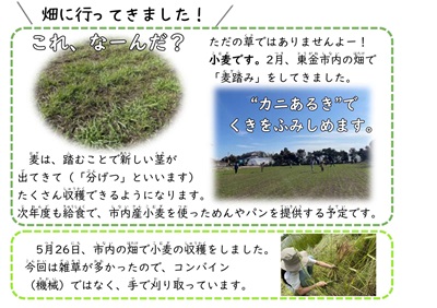 給食だよりの記事
