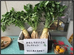 おもしろ大根の飾り付け