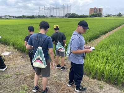 水田調査の様子