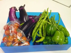 収穫した夏野菜
