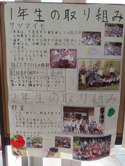 低学年の食育の取組