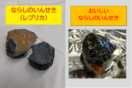 習志野隕石のレプリカと給食提供した習志野隕石の画像