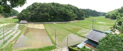 大原幽学遺跡旧宅・墓および宅地耕地地割