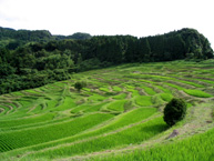 鴨川市曽呂・大山周辺の棚田と集落景観