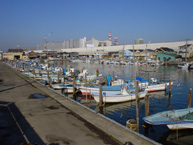 船橋市の漁港景観